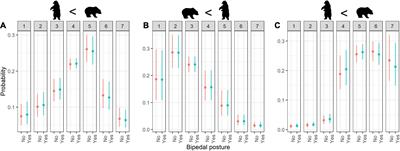 Frontiers | The Effect of Animal Bipedal Posture on Perceived Cuteness